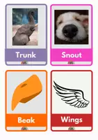 Vista previa - Tarjetas / Manipulativos - parte de animales ingles - página 1