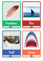 Vista previa - Tarjetas / Manipulativos - parte de animales ingles - página 2