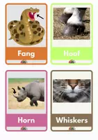 Vista previa - Tarjetas / Manipulativos - parte de animales ingles - página 3