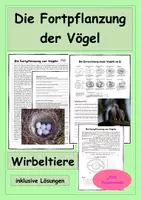 Vorschau - Stundenentwürfe - Die Fortpflanzung der Vögel - Wirbeltiere - Entwicklung eines Vogels im Ei - Deckblatt