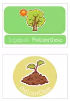 Vorschau - Spiele - Wald: Photosynthese (Legespiel) (Kl. 3/4) - Seite 3