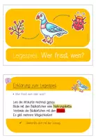 Vorschau - Spiele - Wald: Nahrungsketten (Legespiel) (Kl. 3/4) - Seite 3