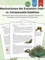 Vorschau - Stundenentwürfe - Evolution: Warum Schönheit einen Preis hat - Sexuelle Selektion in der Tierwelt - Deckblatt