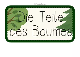 Vorschau - Bildkarten - Wald: Teile des Baumes (Wortkarten + Schaubild) - Seite 3