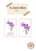 Vista previa - Refuerzo / NEE / Materiales de apoyo - Tarjetas de flores (flashcards) - Portada