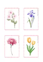 Vista previa - Refuerzo / NEE / Materiales de apoyo - Tarjetas de flores (flashcards) - página 2