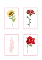 Vista previa - Refuerzo / NEE / Materiales de apoyo - Tarjetas de flores (flashcards) - página 3