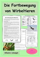 Vorschau - Stundenentwürfe - Die Fortbewegung der Wirbeltiere - Anpassung an Wasser, Land und Luft - Deckblatt