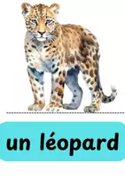 Vorschau - Bildkarten - Zootiere Bilderkarten im Französischen - Deckblatt