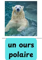 Vorschau - Bildkarten - Zootiere Bilderkarten im Französischen - Seite 2