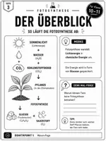 Vorschau - Stundenentwürfe - Fotosynthese einfach erklärt | Biologie Klasse 10–11 | Lichtreaktion, Calvin-Zyklus, Zellatmung, Arbeitsheft mit Lösungen - Seite 3