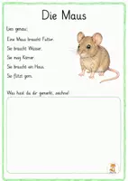 Vorschau - Arbeitsblätter - Haustiere - Lesen, schreiben und malen. 1. - 4. Klasse - Seite 3