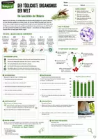Vorschau - Stundenentwürfe - Materialpaket Vertretungsstunden Biologie Klasse 7-12 - 30 Arbeitsblätter - Seite 1
