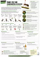 Vorschau - Stundenentwürfe - Materialpaket Vertretungsstunden Biologie Klasse 7-12 - 30 Arbeitsblätter - Seite 2