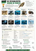 Vorschau - Stundenentwürfe - Materialpaket Vertretungsstunden Biologie Klasse 7-12 - 30 Arbeitsblätter - Seite 3
