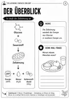 Vorschau - Stundenentwürfe - Zellatmung einfach erklärt – Biologie Klasse 10–11 | Arbeitsheft mit Lösungen & Handreichung - Seite 3