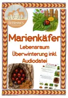 Vorschau - Arbeitsblätter - Marienkäfer - Lebensraum Überwinterung - Deckblatt