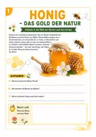 Vorschau - Arbeitsblätter - Honig & Bienen entdecken – Lernheft/Arbeitsblätter für den Sachunterricht - Seite 1