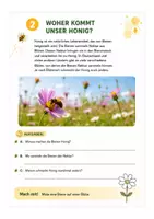 Vorschau - Arbeitsblätter - Honig & Bienen entdecken – Lernheft/Arbeitsblätter für den Sachunterricht - Seite 2