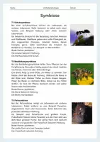Vorschau - Arbeitsblätter - Symbiose und Parasitismus – Beziehungen zwischen Lebewesen einfach erklärt - Seite 3