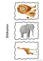 Vorschau - Bildkarten - Zootiere Bildkarten - Seite 1
