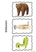 Vorschau - Bildkarten - Zootiere Bildkarten - Seite 3