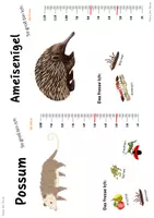 Vorschau - Bildkarten - Steckbriefe Australien - Deckblatt