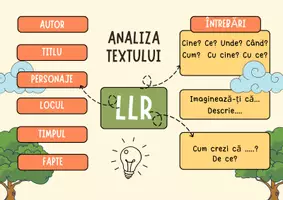 previzualizare - Infografic/banner analiza text LLR - Pagina de copertă