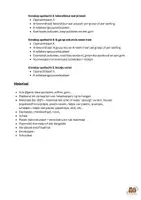 Voorbeeld - Operatie zomervakantie L2 - Pagina 2