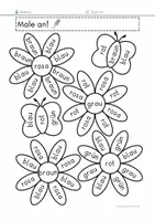 Vorschau - Arbeitsblätter - Lesen & Malen: Farben, Blumen und Schmetterlinge, Basisschreibung - Seite 3