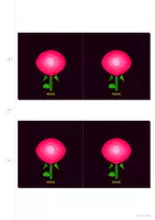 Vorschau - Arbeitsblätter - Blumen Garderoben Bilder Schilder 30 Motive - Seite 2