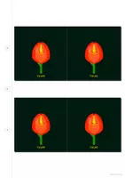 Vorschau - Arbeitsblätter - Blumen Garderoben Bilder Schilder 30 Motive - Seite 3