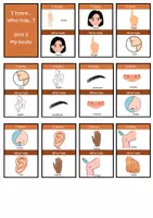 Vorschau - Spiele - Young World 1- Unit 2- I have... "The Body" - Deckblatt