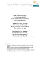 Vorschau - Arbeitsblätter - Gedichtsanalyse zu Meyers "Zwei Segel", Homeschooling-Möglichkeit! - Seite 3