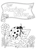 Vorschau - Unterrichtsreihen - Marienkäfer · Sachunterricht · Klasse 1-2 · Arbeitsblätter - Seite 3