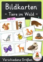 Vorschau - Spiele - Waldtiere – Bildkarten | Tiere im Wald | 35 Karten mit Artikelpunkten in zwei Größen | Kita Grundschule - Deckblatt