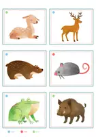 Vorschau - Spiele - Waldtiere – Bildkarten | Tiere im Wald | 35 Karten mit Artikelpunkten in zwei Größen | Kita Grundschule - Seite 3