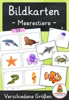 Vorschau - Spiele - Meerestiere – Bildkarten | Tiere im Meer | 35 Karten mit Artikelpunkten in zwei Größen | Kita Grundschule - Deckblatt