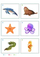 Vorschau - Spiele - Meerestiere – Bildkarten | Tiere im Meer | 35 Karten mit Artikelpunkten in zwei Größen | Kita Grundschule - Seite 2