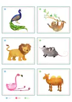 Vorschau - Spiele - Zootiere – Bildkarten | Tiere im Zoo | 54 Karten mit Artikelpunkten in zwei Größen | Kita Grundschule - Seite 2