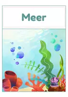 Vorschau - Spiele - Lebensräume Tiere – Zuordnungskarten Savanne, Dschungel, Wüste & mehr | 30 Tiere | differenziert Kita bis Klasse 2 | DaZ - Seite 3