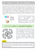 Vorschau - Arbeitsblätter - Konsumverhalten und CO₂-Ausstoß: Nachhaltiger Konsum - Seite 1