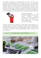 Vorschau - Arbeitsblätter - Konsumverhalten und CO₂-Ausstoß: Nachhaltiger Konsum - Seite 3