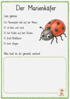 Vorschau - Arbeitsblätter - Auf der Wiese - Leseverständnis Tiere & Pflanzen - 1 - 4. Klasse - Seite 1
