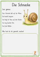 Vorschau - Arbeitsblätter - Auf der Wiese - Leseverständnis Tiere & Pflanzen - 1 - 4. Klasse - Seite 3