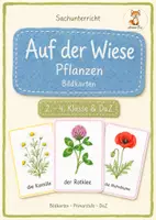 Vorschau - Bildkarten - Wiesenplfanzen Bildkarten 2. - 4. Klasse - Deckblatt