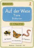 Vorschau - Bildkarten - Wiesentiere Bildkarten - 2. - 4. Klasse & DaZ - Deckblatt