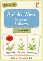 Vorschau - Bildkarten - Wiesenpflanzen Bildkarten - 1. Klasse & DaZ - Deckblatt
