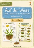 Vorschau - Arbeitsblätter - Löwenzahn & Pusteblume - Lebenszyklus 2. - 4. Klasse - Deckblatt