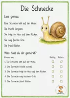 Vorschau - Arbeitsblätter - Wiesentiere Leseverständnis - 1. Klasse - Seite 2